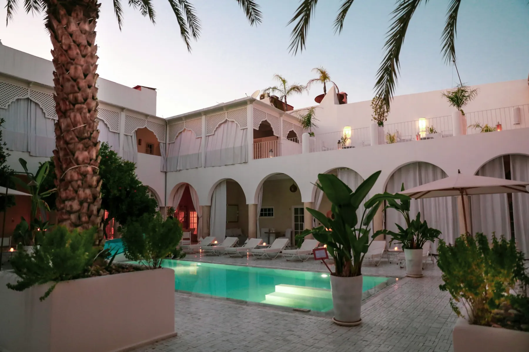 A white building between palm trees under a clear sky.